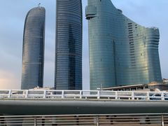 -演武大桥观景平台