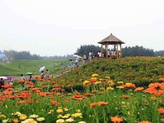 -北纬44度·金珠花海休闲农业旅游景区