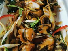温拌鸟贝-北方饺子王·海肠捞饭·海鲜锅(山大店)