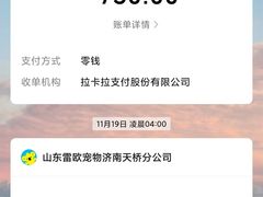-瑞派雷欧宠物医院·24h夜诊·心脏骨科牙科·全科重症转诊中心(无影山店)