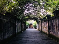 -安仁古镇