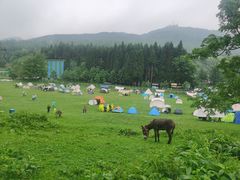-武陵山森林公园
