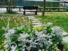 -庐山风景区花径公园