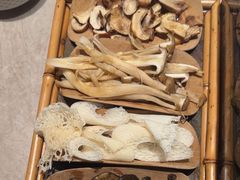 -芸山季·云南山珍菌火锅(宝能环球汇店)