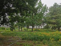 -国家植物园南园