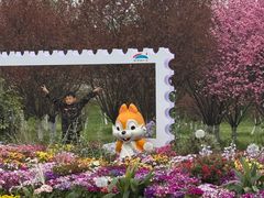 -江苏三台山国家森林公园