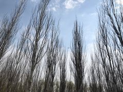 -东郊湿地公园