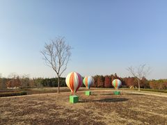 -同里国家湿地公园