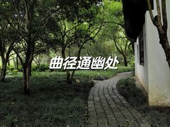 -上海醉白池公园