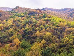 -小五台金河景区