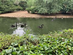 -长白岛森林公园