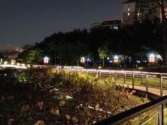 -映月湖公园