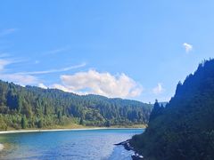 -武陵山森林公园