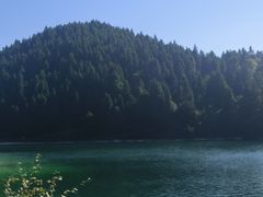 -武陵山森林公园