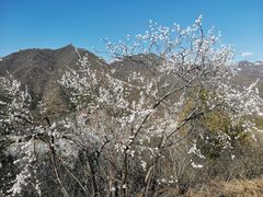 -居庸关长城