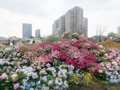 -首开·龙湖成都西宸天街