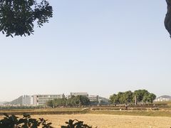-光明小镇欢乐田园