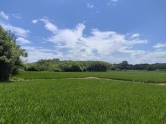 -良渚古城遗址公园