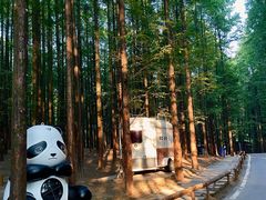 -山王坪喀斯特国家生态公园