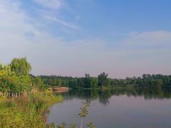 -东郊湿地公园