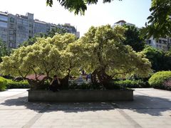 -兆祥公园