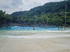 -重庆海昌加勒比海水世界