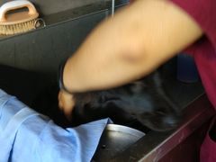 -瑞派·关忠动物医院·猫专科·犬专科(三环新城店)