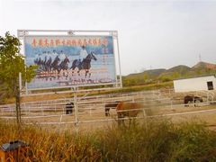 -青藏高原野生动物园