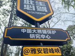 -中国大熊猫保护研究中心雅安碧峰峡基地