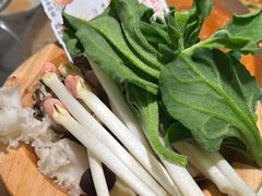 -楠小云·云南鲜牛野生菌自助火锅(九眼桥店)