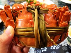 -大莲湖农家乐(青西郊野公园店)