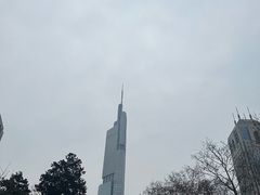 -南京鼓楼医院(鼓楼本部)