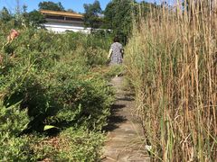 -桤木河湿地公园