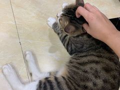 -玉椰林甜品店(创始店)