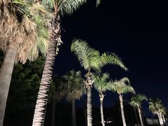-集美学村