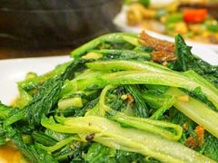 油麦菜-吉源大排档·鱼生·海鲜(烧烤彩印厂店)