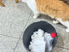 -厕所串串(文殊院店)