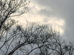 -洋湖国家湿地公园