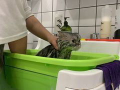 -BABIT巴比特宠物(MOMOPARK店)