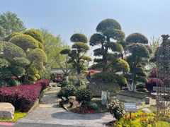 -武汉紫薇都市田园