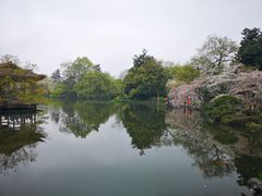 -西湖外事游船(花港观鱼码头)