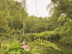 -拙政园