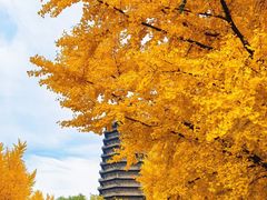 -玲珑塔公园