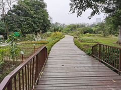 -广西壮族自治区药用植物园