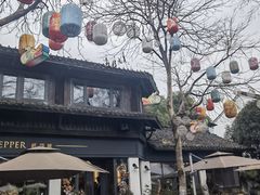 -西溪国家湿地公园
