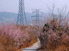 -定都阁