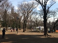 -井之头恩赐公园