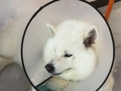 -中国体育彩票(竞彩店)