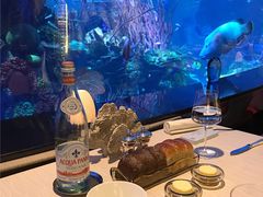 -迪拜帆船酒店海底餐厅