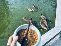 -扬州瘦西湖温泉